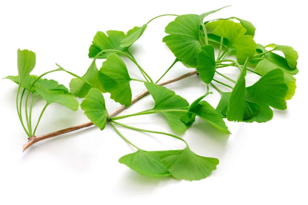 Ginkgo biloba kapslites Insuvit